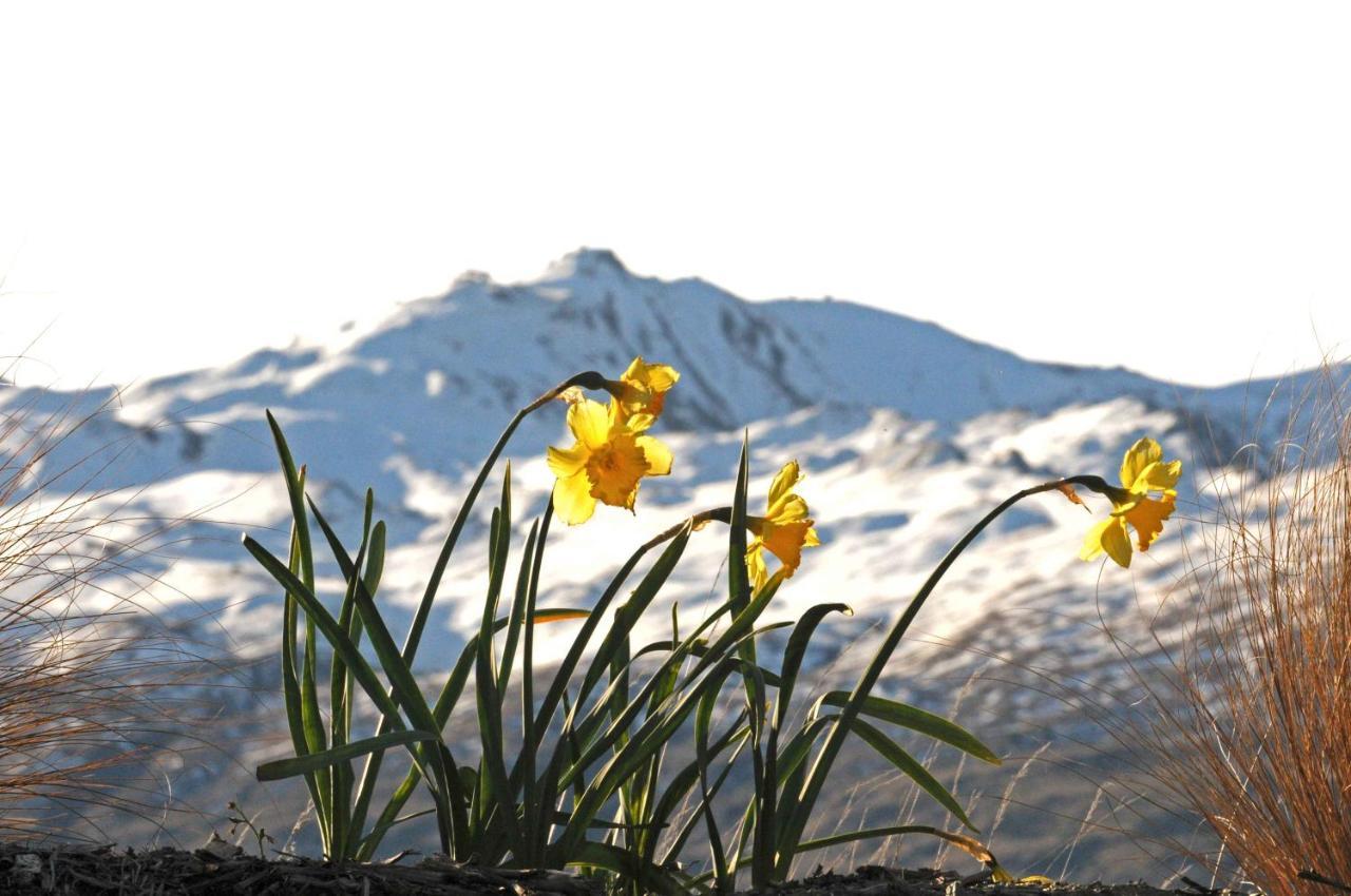 Hawkridge Alpine Suite Queenstown Luaran gambar